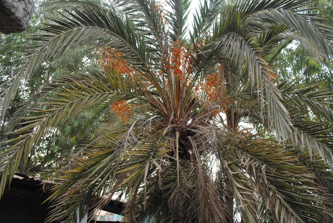 Sanyang Rainbow Beach Resort מראה חיצוני תמונה